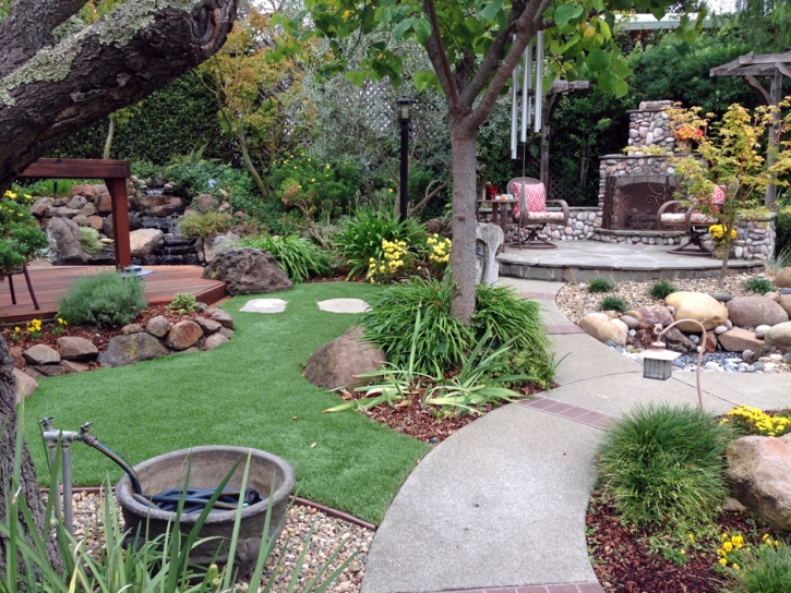 Artificial Turf Harrisonburg, Virginia Design Ideas, Small Backyard Ideas