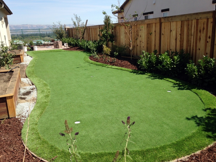 Synthetic Turf Supplier Parksley, Virginia Putting Green, Backyards