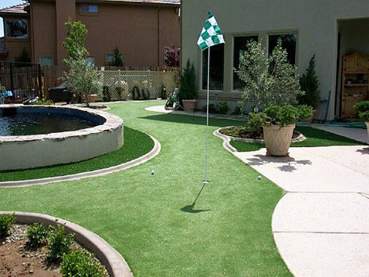 Artificial Turf Riverview, Virginia Best Indoor Putting Green, Backyard Design