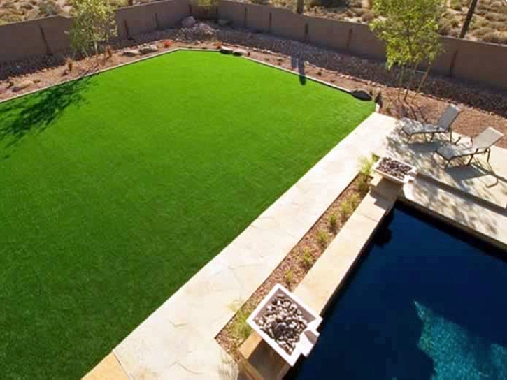 Best Artificial Grass Newport News, Virginia Gardeners, Pool Designs