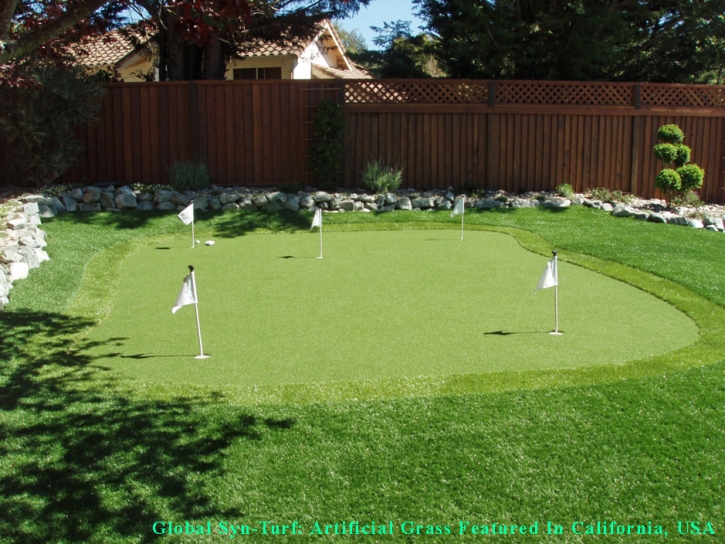 Best Artificial Grass Portsmouth Heights, Virginia Landscape Ideas, Backyard Designs