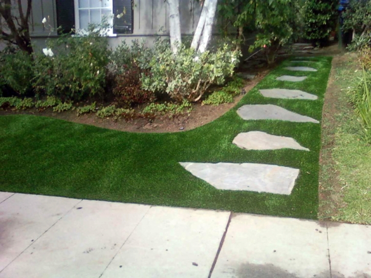 Best Artificial Grass Saint Charles, Virginia Gardeners, Front Yard Ideas