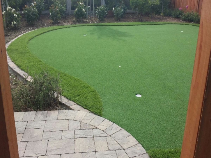 Best Artificial Grass Snowville, Virginia Rooftop, Backyard Design