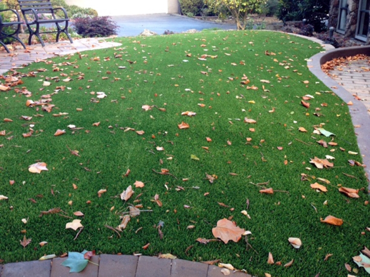 Fake Grass Carpet Centreville, Virginia Landscape Photos, Front Yard Landscaping