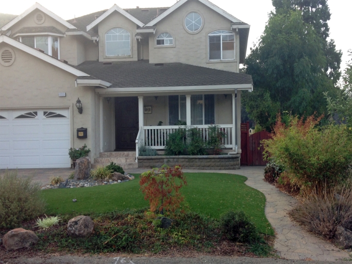 Fake Grass Carpet Fort Lee, Virginia Landscaping, Front Yard Landscape Ideas