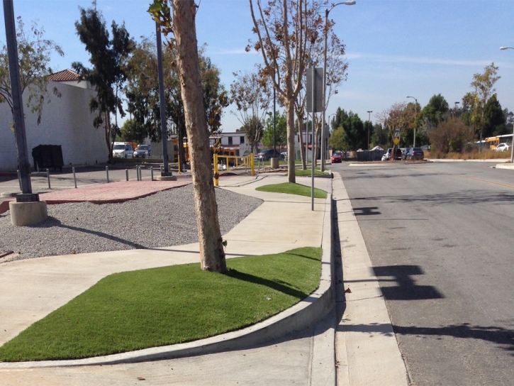 Fake Grass Carpet Reston, Virginia Lawn And Landscape, Commercial Landscape