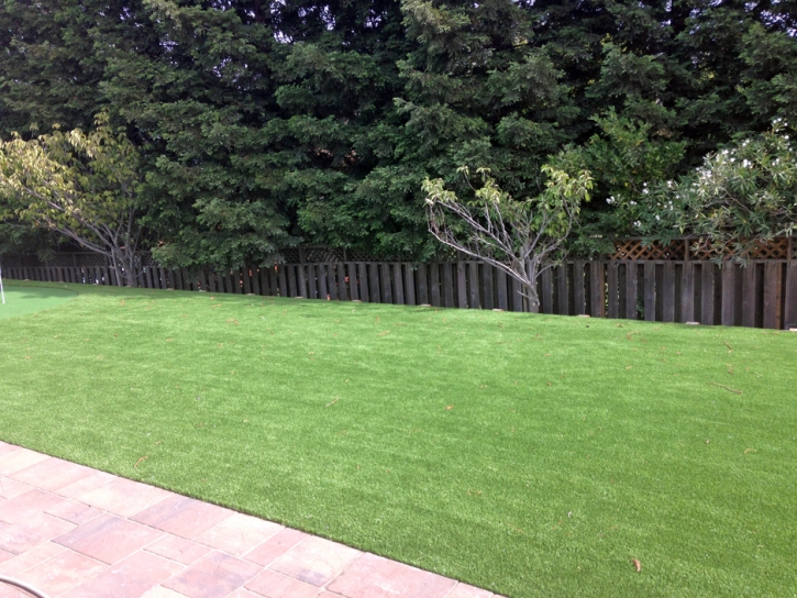 Best Artificial Grass Pocahontas, Virginia Indoor Putting Green, Backyard Landscaping