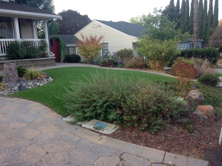 Fake Grass Carpet Washington, Virginia Garden Ideas, Front Yard Landscape Ideas