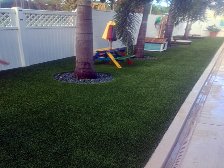 Fake Lawn Chesapeake, Virginia Lawn And Landscape, Backyard Landscaping Ideas