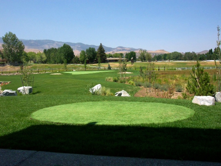 Synthetic Lawn Chester Gap, Virginia Roof Top, Backyard Ideas