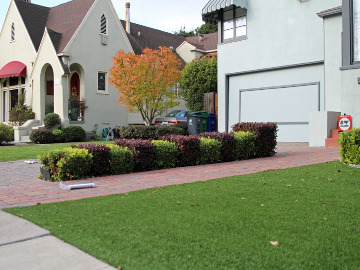 Fake Turf Colonial Heights, Virginia City Landscape, Front Yard