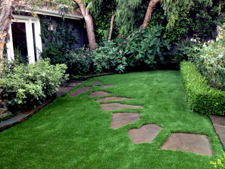 Fake Turf Leesburg, Virginia Landscaping, Backyard Ideas