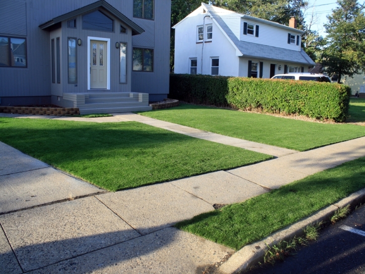 Fake Turf Scottsburg, Virginia Lawns, Front Yard Landscape Ideas