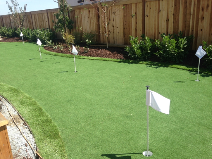 Fake Turf University Center, Virginia Artificial Putting Greens, Backyard