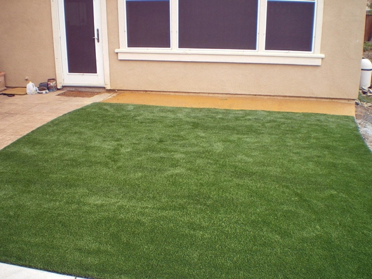 Faux Grass Brandermill, Virginia Paver Patio, Backyard Landscaping Ideas