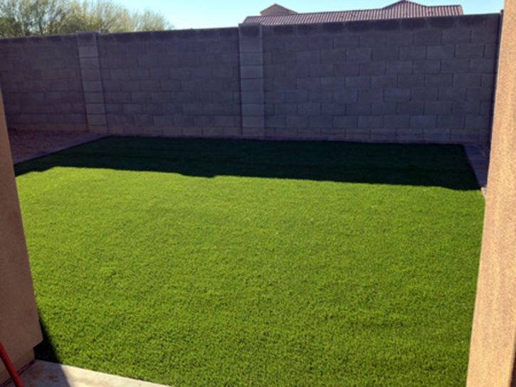 Faux Grass Gloucester Point, Virginia Landscaping Business, Backyard Landscaping Ideas