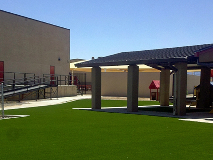 Faux Grass Hybla Valley, Virginia Backyard Playground, Commercial Landscape