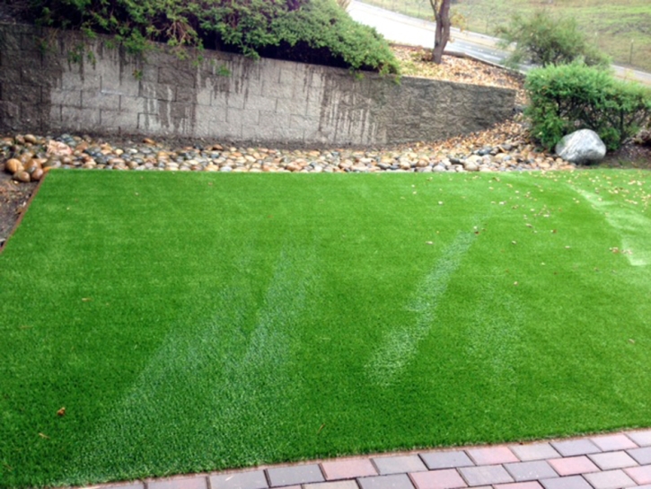 Faux Grass Linton Hall, Virginia Backyard Deck Ideas, Front Yard Landscape Ideas