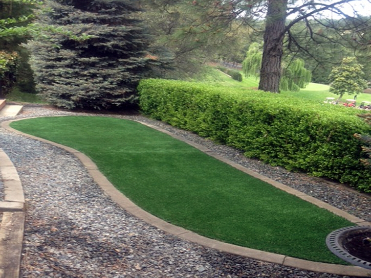 Faux Grass Virginia Beach, Virginia Backyard Deck Ideas