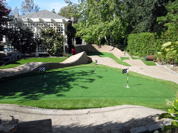 Grass Carpet Boston, Virginia Putting Green, Backyard Landscaping Ideas