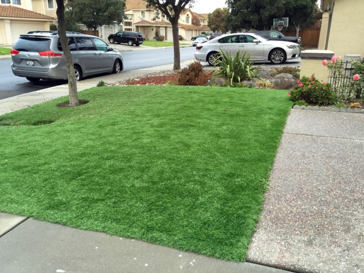 Grass Carpet Fairfax Station, Virginia Home And Garden, Landscaping Ideas For Front Yard