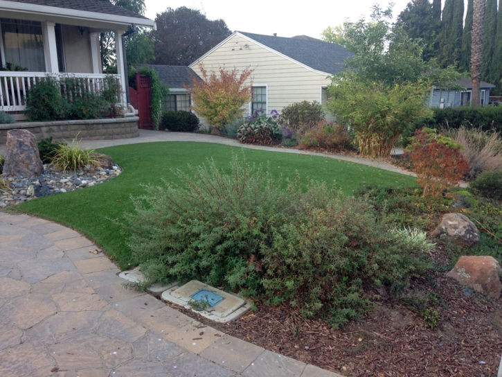 Grass Carpet Woodlawn, Virginia Design Ideas, Small Front Yard Landscaping