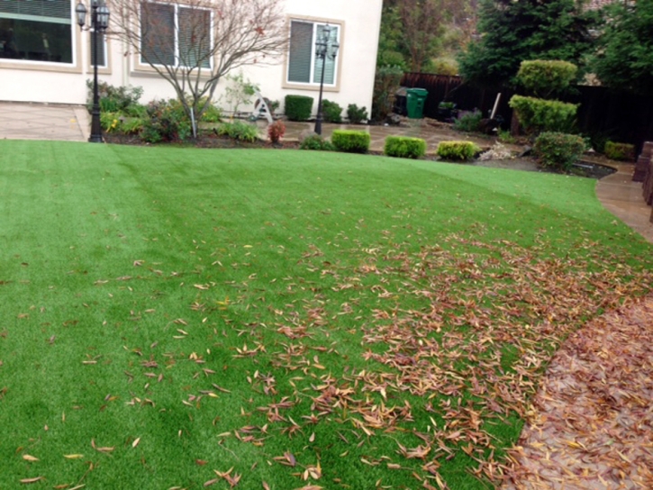 Grass Installation East Hampton, Virginia Lawn And Landscape, Backyard Designs