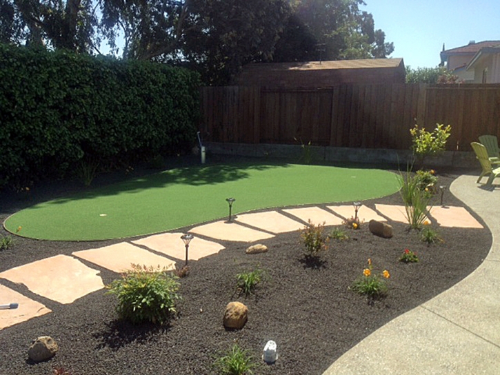 Grass Turf Branchville, Virginia City Landscape, Backyard Makeover