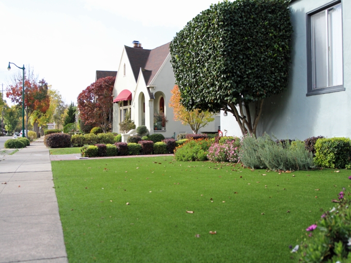 Grass Turf Lakeside, Virginia Landscape Design, Front Yard Landscape Ideas