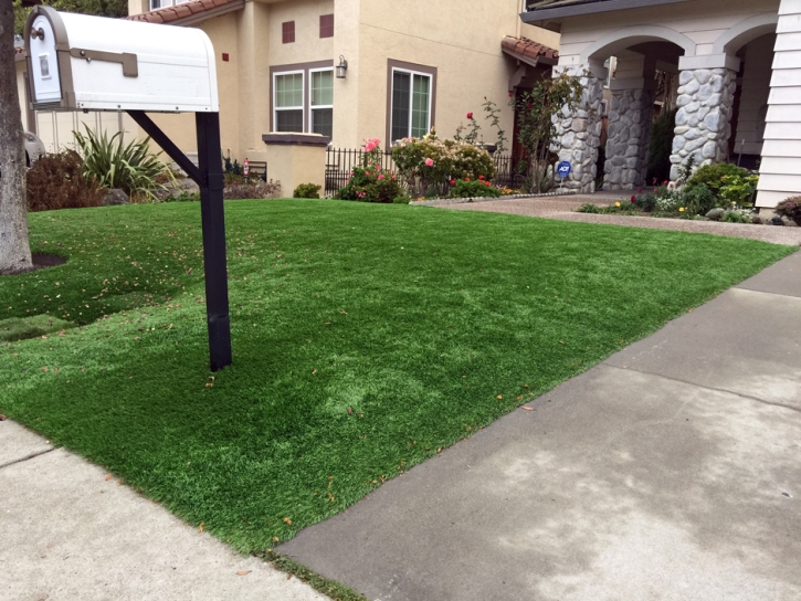 Grass Turf Vienna, Virginia Design Ideas, Front Yard