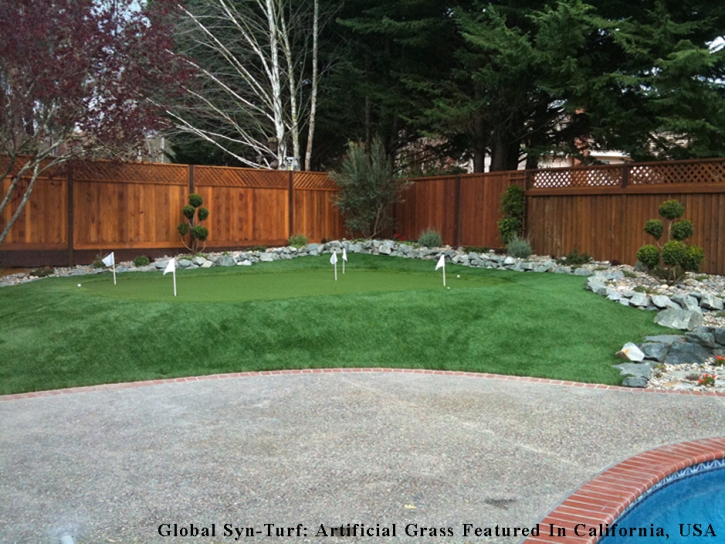 Green Lawn South Suffolk, Virginia Putting Green, Backyard Designs