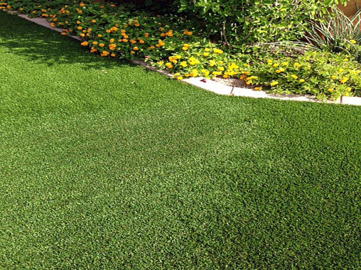 Installing Artificial Grass Port Royal, Virginia Home And Garden, Small Front Yard Landscaping