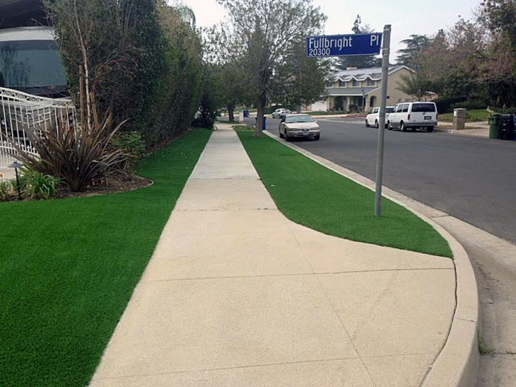 Outdoor Carpet Annandale, Virginia Gardeners, Small Front Yard Landscaping