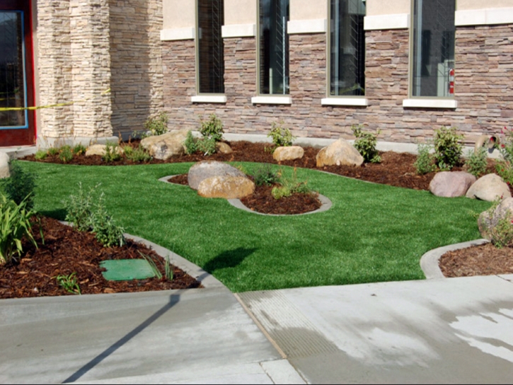 Plastic Grass Annandale, Virginia Landscaping, Commercial Landscape