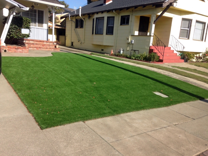 Plastic Grass Fairfax, Virginia Backyard Playground, Small Front Yard Landscaping