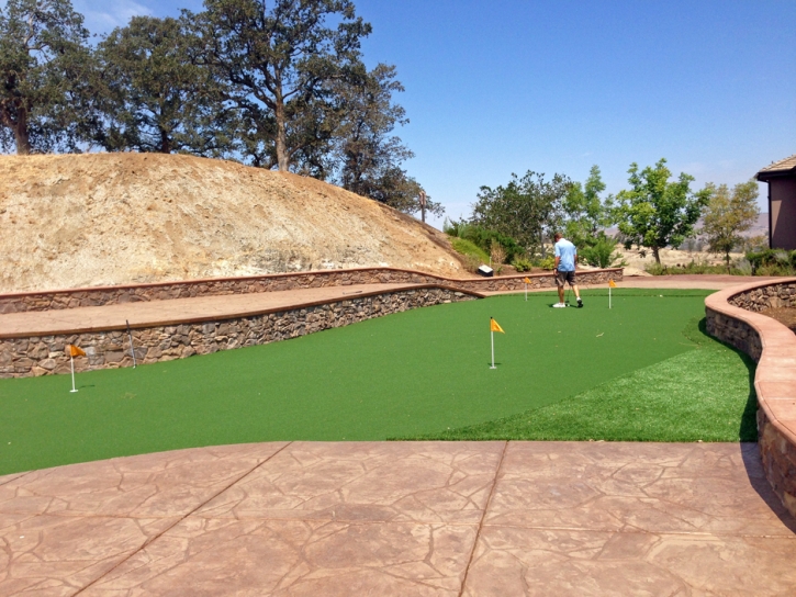 Plastic Grass Fort Chiswell, Virginia City Landscape, Backyard Landscape Ideas