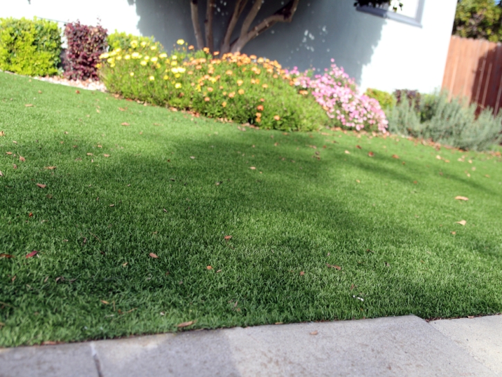 Plastic Grass Franconia, Virginia Lawn And Landscape, Front Yard Landscaping Ideas