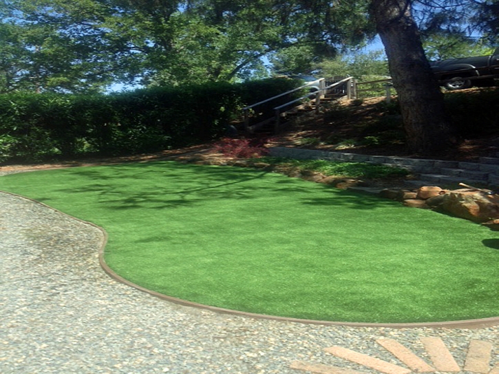 Synthetic Grass Cost Columbia, Virginia Lawns, Backyard