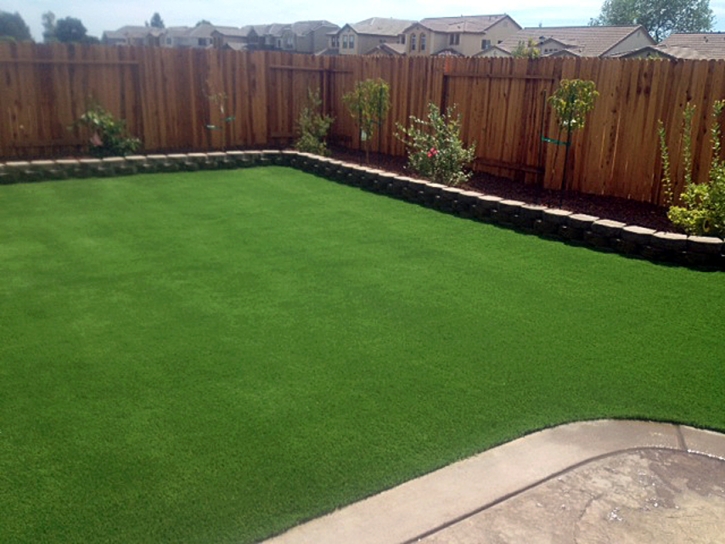 Synthetic Grass Warm Springs, Virginia City Landscape, Backyard Ideas