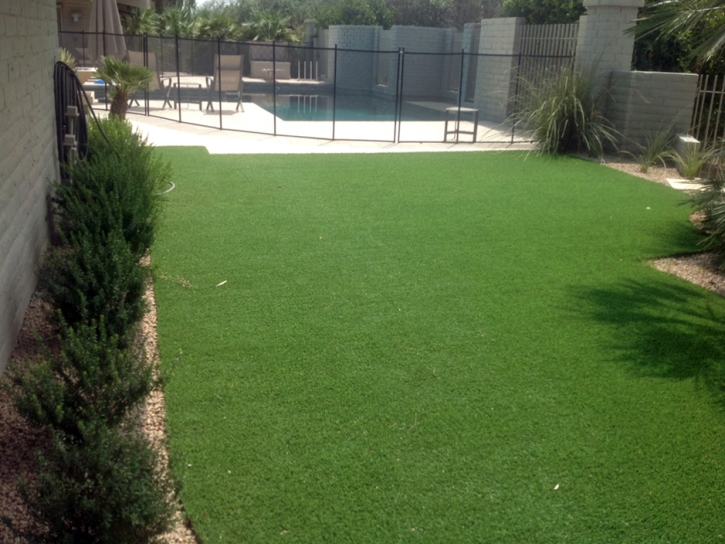 Synthetic Lawn Bayside, Virginia Roof Top, Swimming Pool Designs