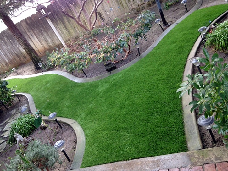 Synthetic Lawn Loch Lomond, Virginia Roof Top, Backyard Landscaping