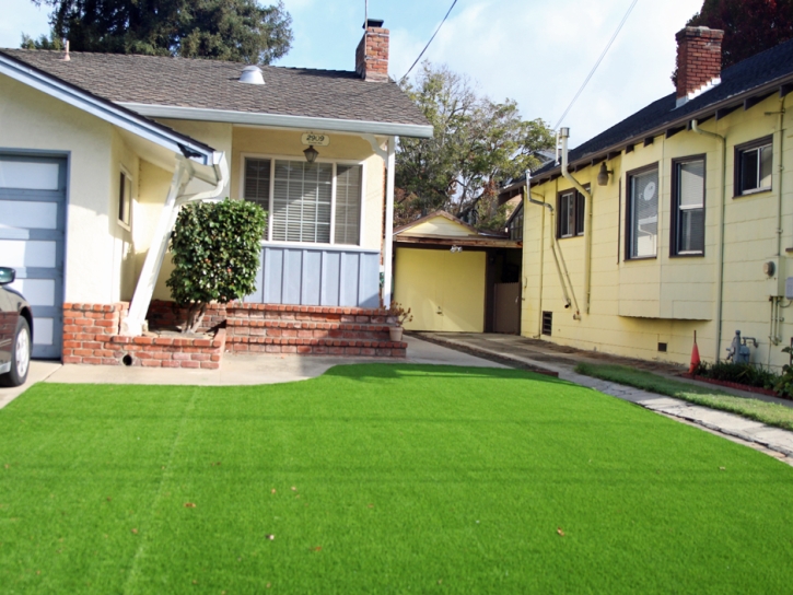 Synthetic Lawn Lorton, Virginia Landscape Photos, Front Yard Landscaping Ideas