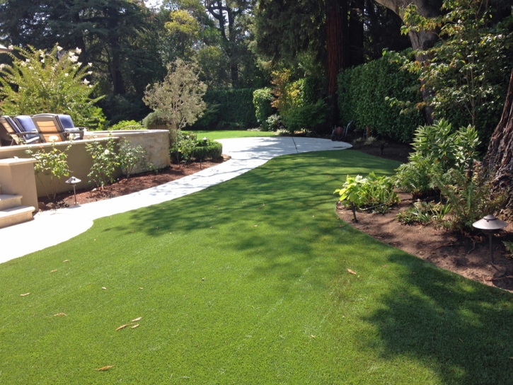 Synthetic Lawn Spotsylvania Courthouse, Virginia Rooftop, Backyard Designs