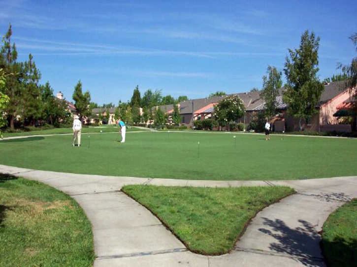 Synthetic Turf Blue Ridge Shores, Virginia Diy Putting Green, Commercial Landscape