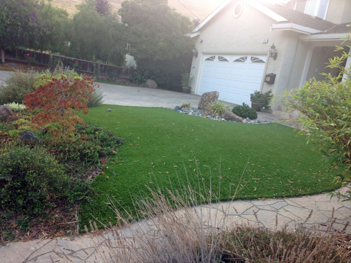 Synthetic Turf Dale City, Virginia Backyard Playground, Small Front Yard Landscaping