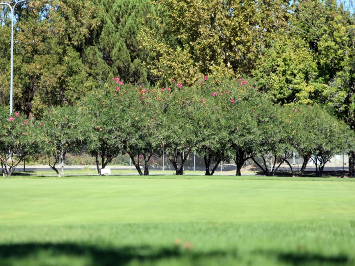 Synthetic Turf Haysi, Virginia Artificial Putting Greens