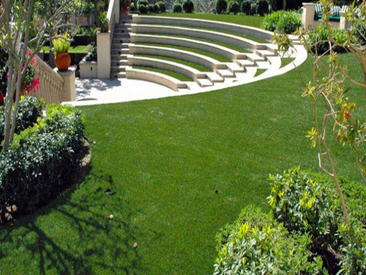 Synthetic Turf Suffolk, Virginia Landscape Ideas