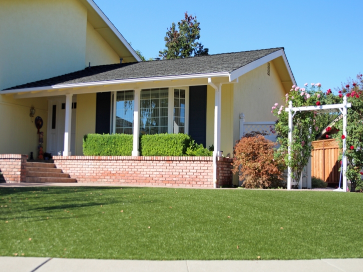 Synthetic Turf Supplier Enon, Virginia Landscape Design, Front Yard Ideas