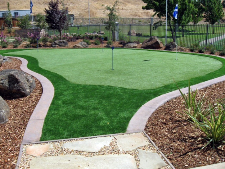 Synthetic Turf Supplier Harriston, Virginia Best Indoor Putting Green, Small Backyard Ideas