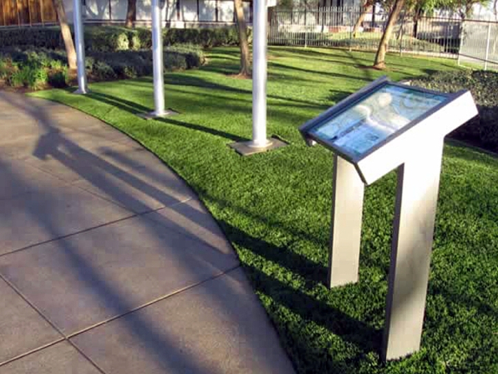 Turf Grass Charlottesville, Virginia Rooftop, Commercial Landscape